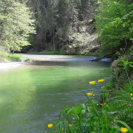 Vendégház Gastezimmer Salzatal Greith (Bruck-Murzzuschlag)