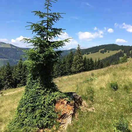 Gastezimmer Salzatal *