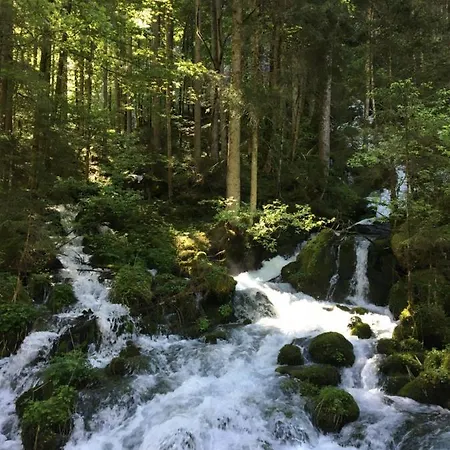Gastezimmer Salzatal