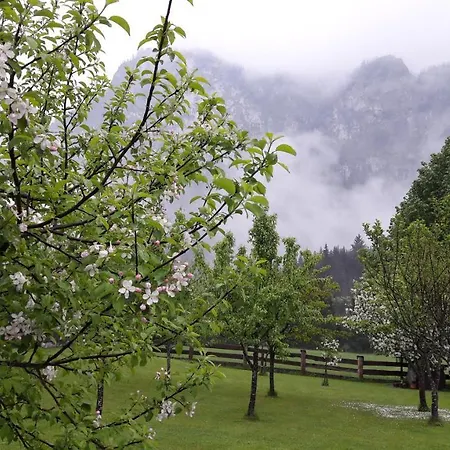 Guest house Gastezimmer Salzatal *