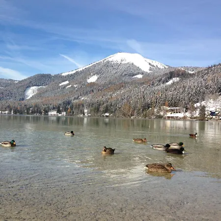 Gastezimmer Salzatal Greith (Bruck-Murzzuschlag)