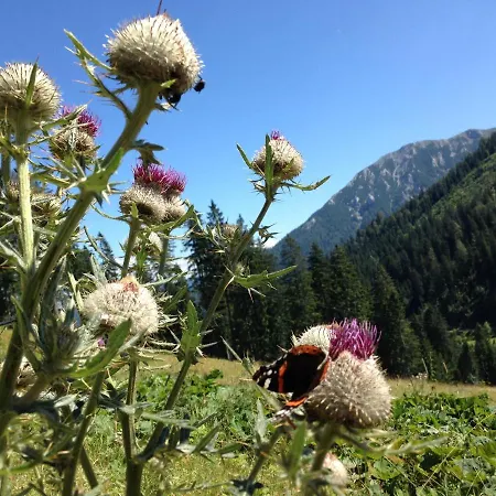 Gastezimmer Salzatal Vendégház Greith (Bruck-Murzzuschlag)