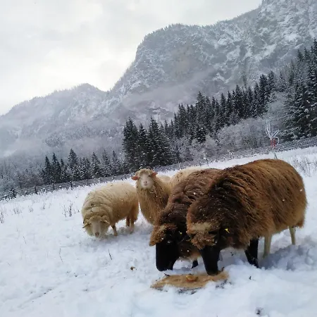 Vendégház Gastezimmer Salzatal Greith (Bruck-Murzzuschlag)