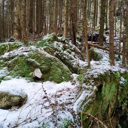 Gastezimmer Salzatal